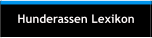 Hunderassen Lexikon